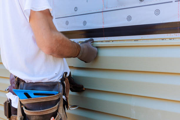 Affordable Vinyl Siding solutions in Flintstone, MD